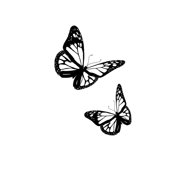 Double Butterfuly Long Lasting Tattoo Stickers