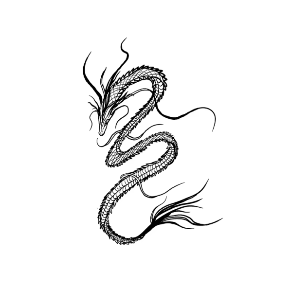 Mysterious Black Dragon Herbal Juice Tattoos