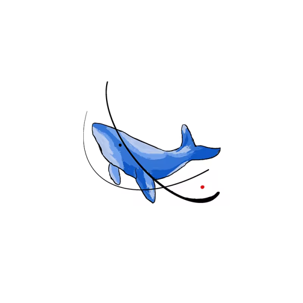 Colorful Shark Temporary Arm Tattoo Stickers