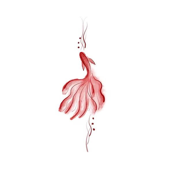 Colorful Goldfish Tail Back Temporary Tattoos